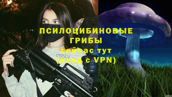 круглые Алексеевка