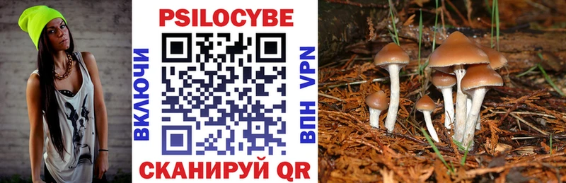 Галлюциногенные грибы MAGIC MUSHROOMS  как найти закладки  блэк спрут зеркало  Десногорск 
